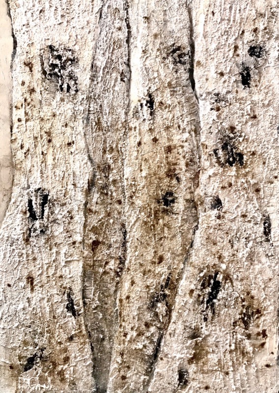 Christiana Sieben: Betula (70 x 50 cm, Canvas, mixed media) 